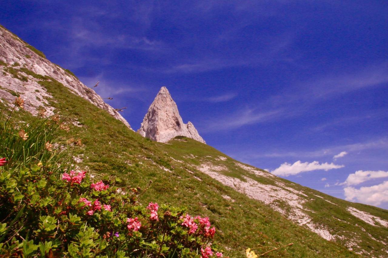 Schermerhuetten Tauplitzalm Dış mekan fotoğraf